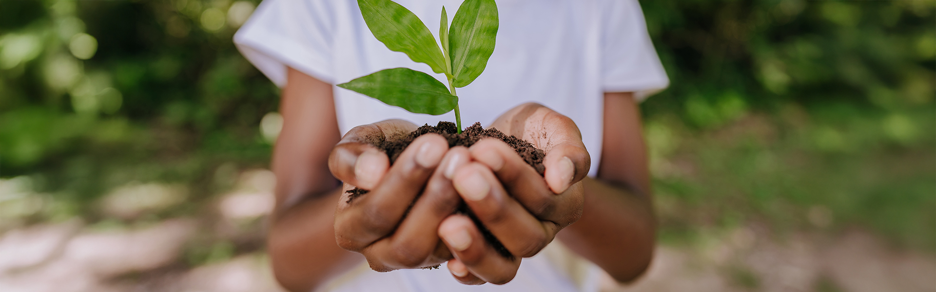 a person holding a small plant