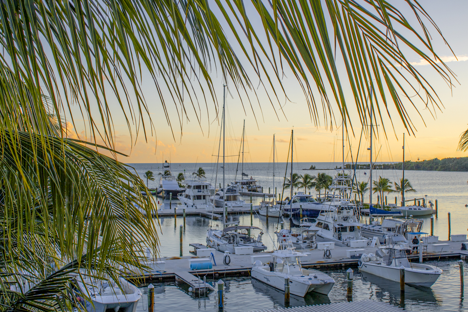 a group of boats in a harbor