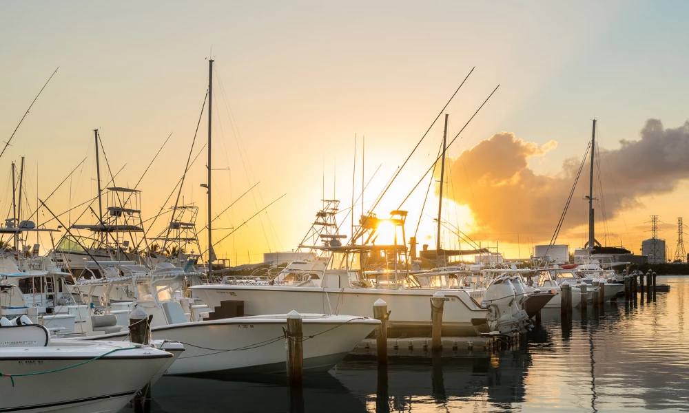 a group of boats in a harbor
