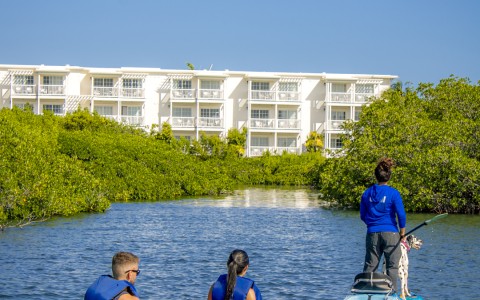 a group of people in kayaks with a dog on a river