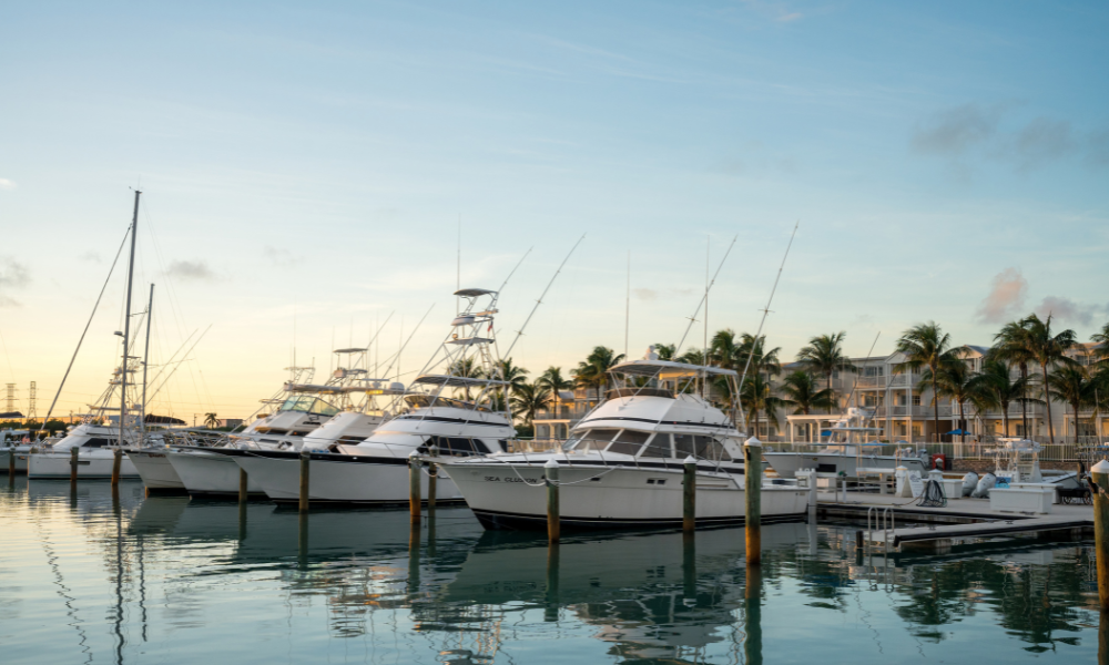 a group of boats docked in a harbor