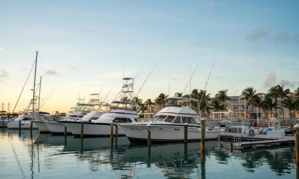 a group of boats docked in a harbor