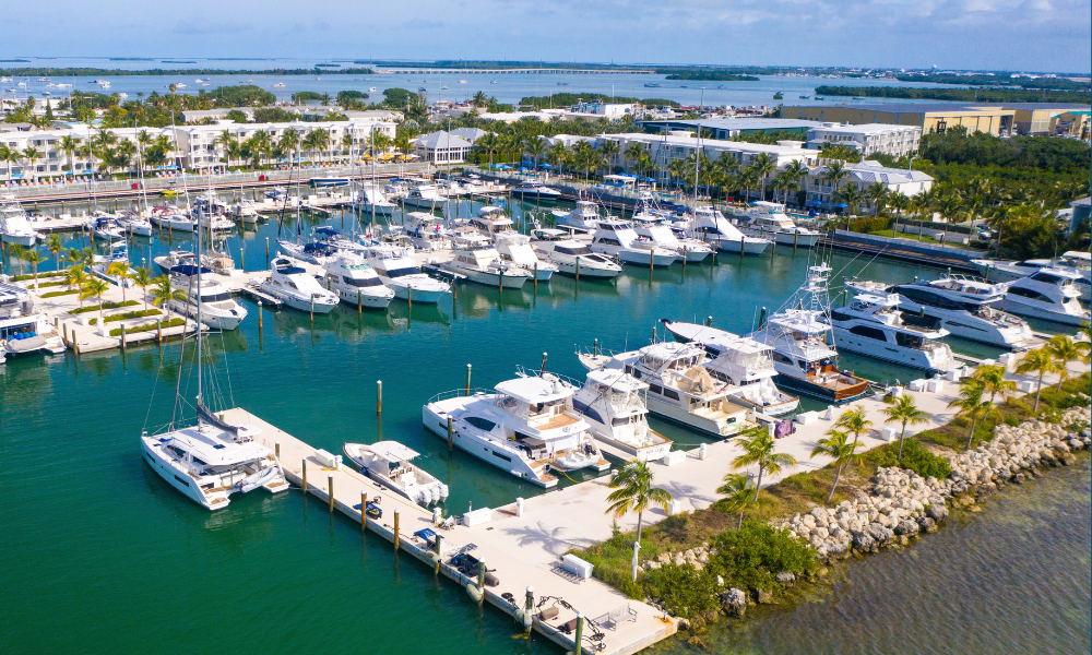 a marina with many boats and buildings