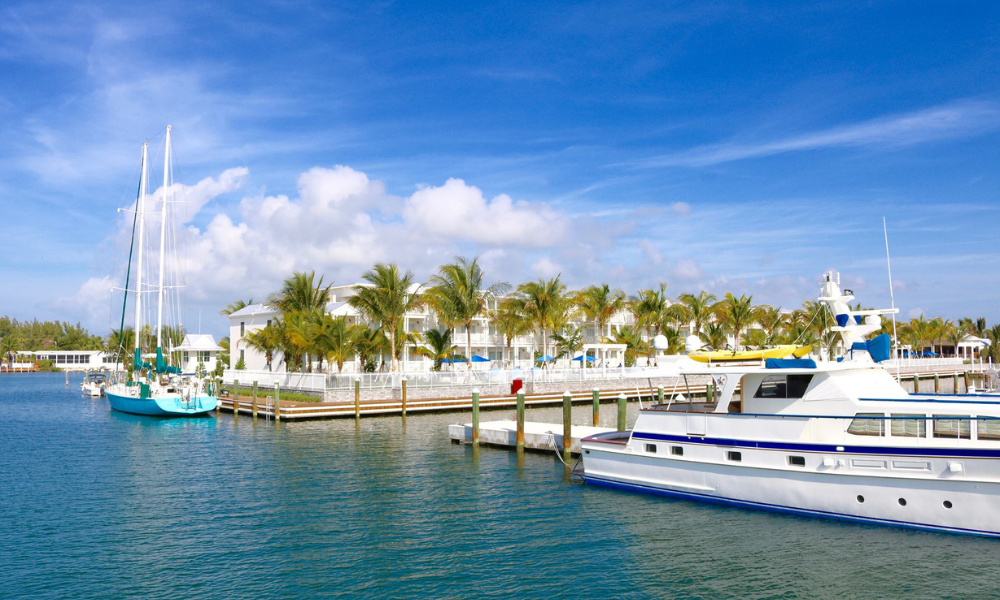 a group of boats on a body of water