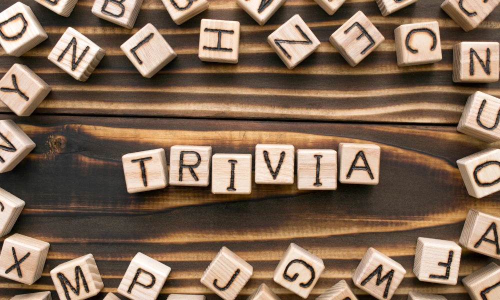 a group of wooden blocks with letters on them