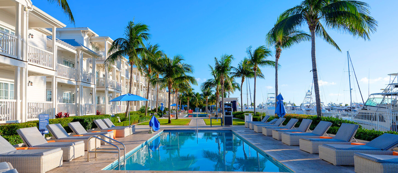 a swimming pool with palm trees and a building