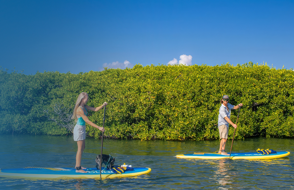 a man and woman on paddle boards on a river