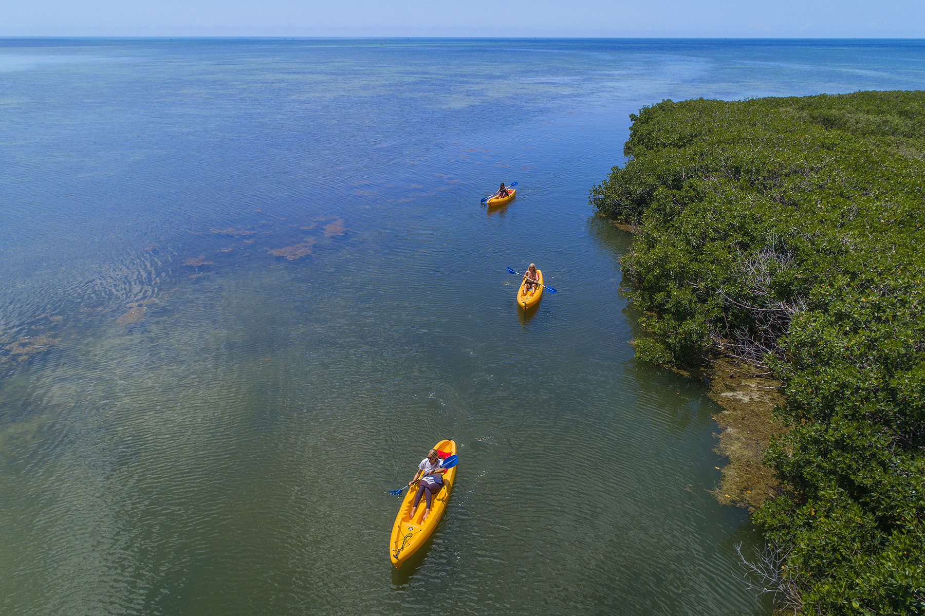 a group of people in kayaks on a river