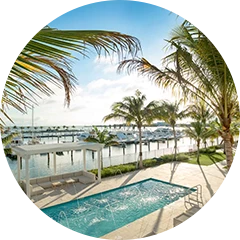 aerial view of a pool surrounded by palm trees