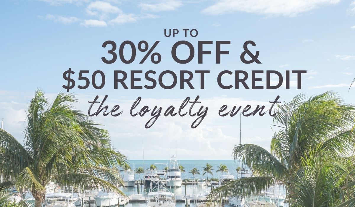 a group of palm trees next to a marina