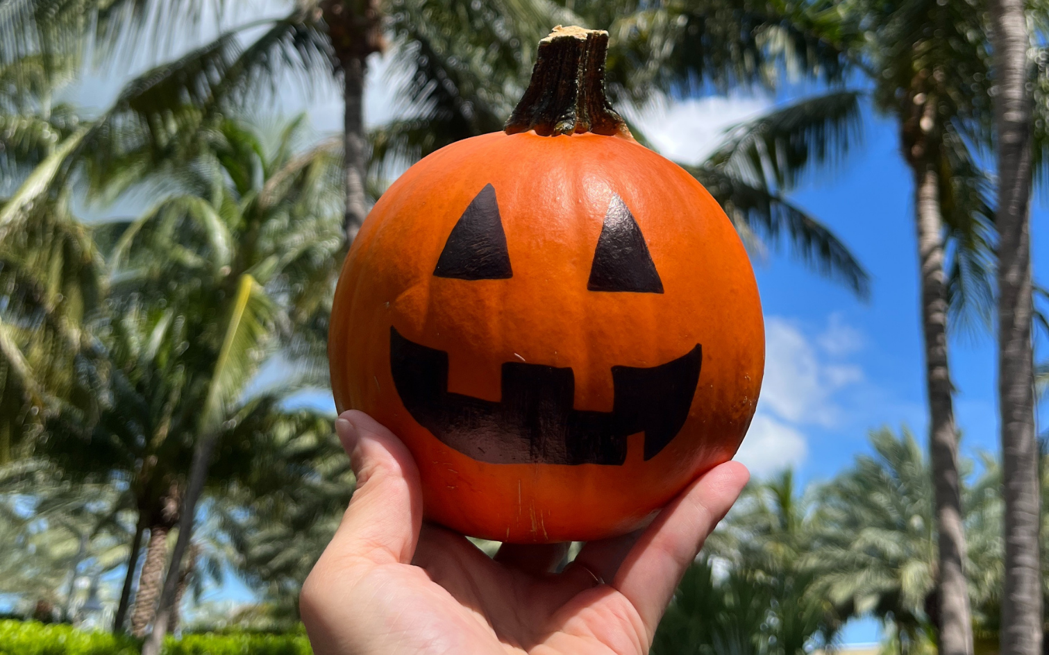 a hand holding a pumpkin with a face drawn on it