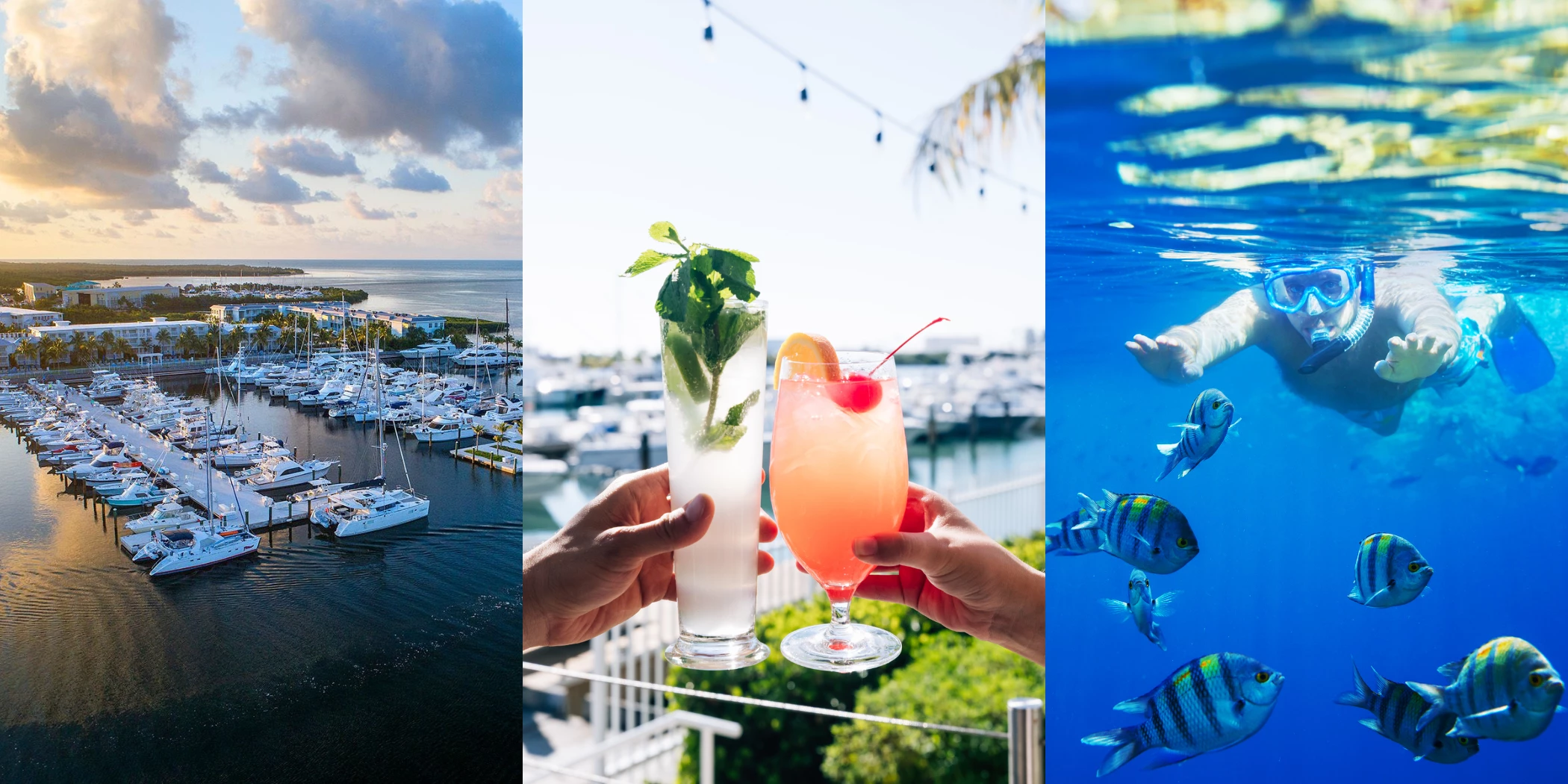 a collage of different drinks