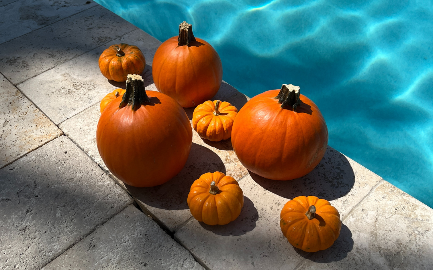 pumpkins on a ledge next to a pool