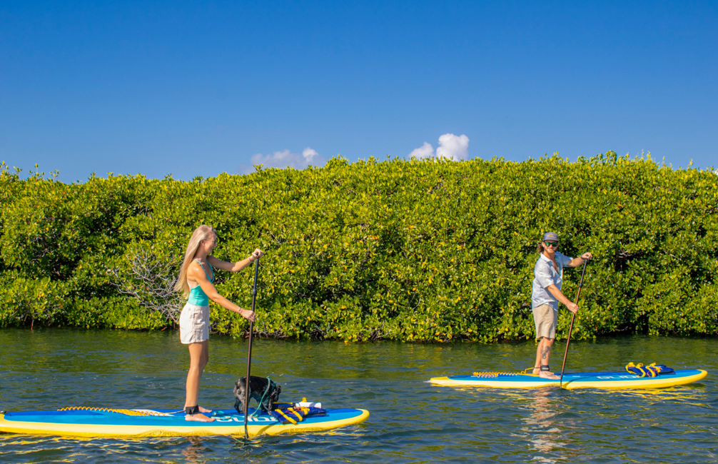 a man and woman on paddle boards on water