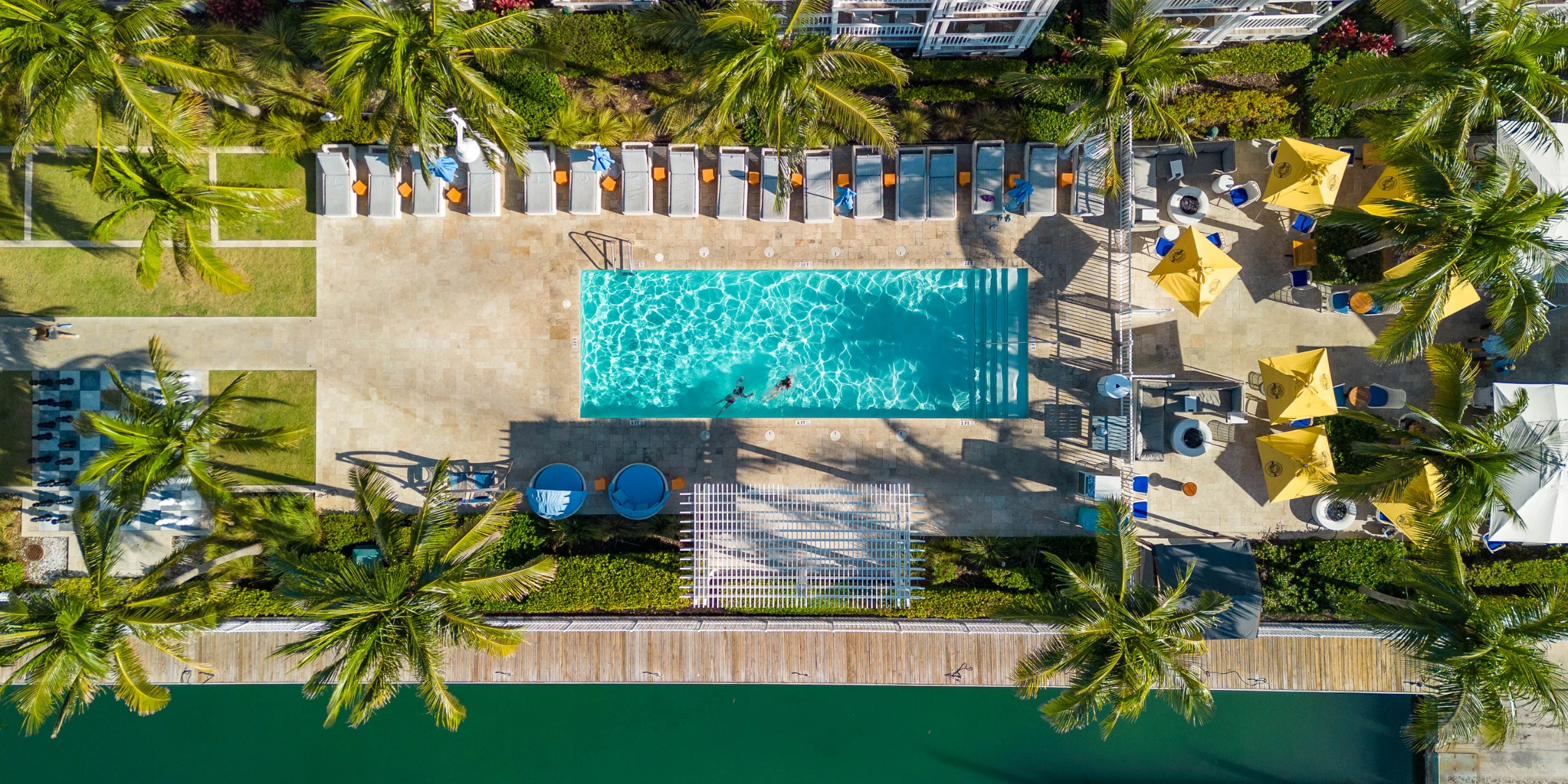 a pool with palm trees and a dock