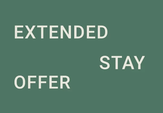 a green background with white text