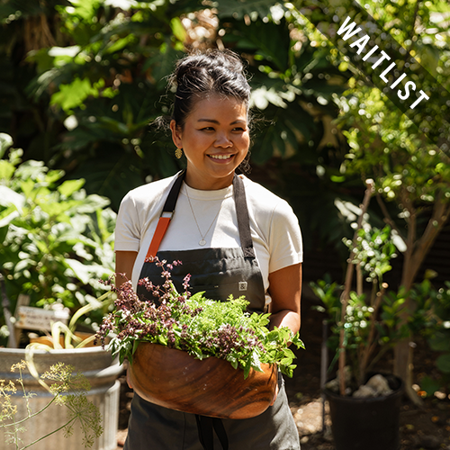 a woman holding a potted plant