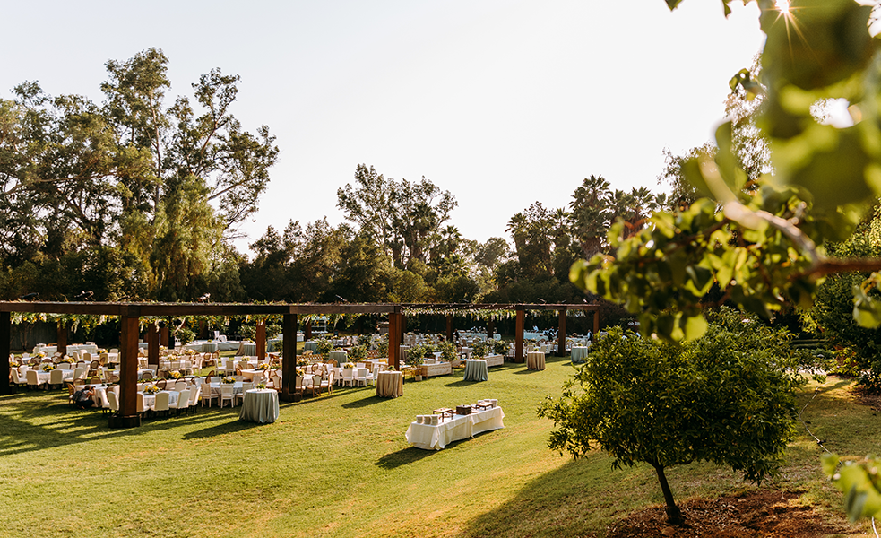 a group of tables in a field