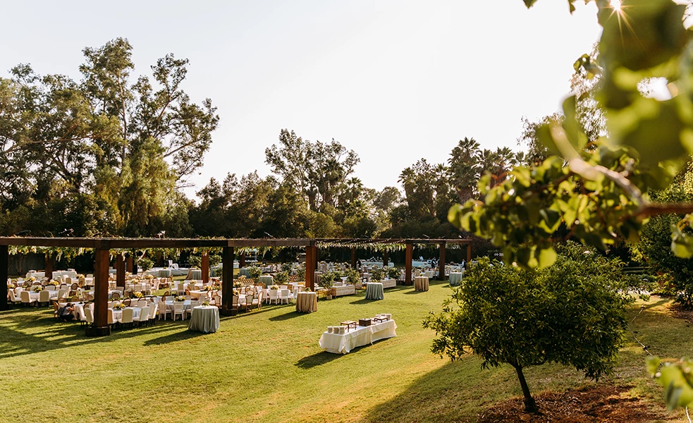 a group of tables in a field
