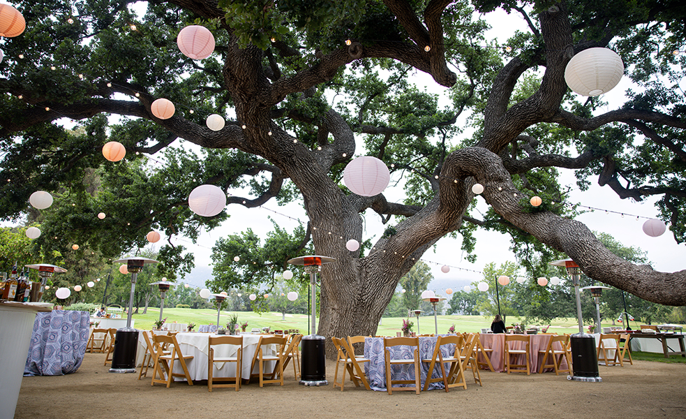 a group of tables under a tree