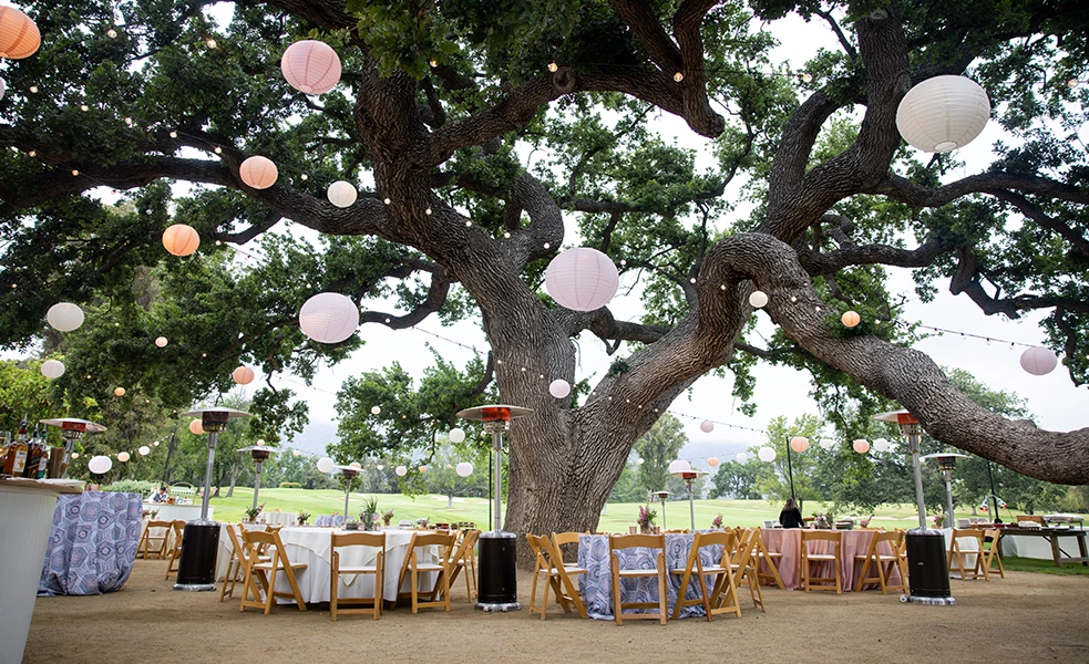 a group of tables under a tree