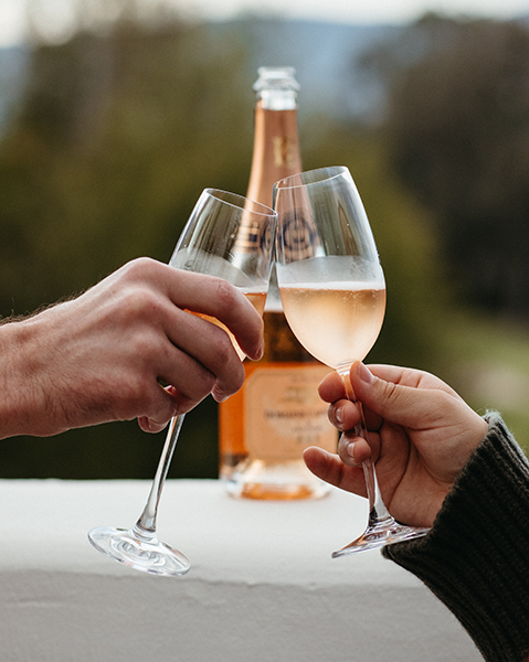 a pair of hands holding wine glasses