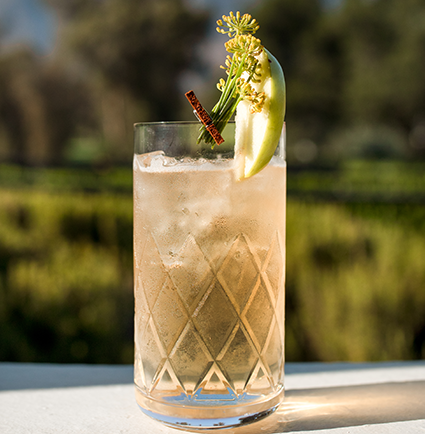 a glass with a drink and a slice of apple on top