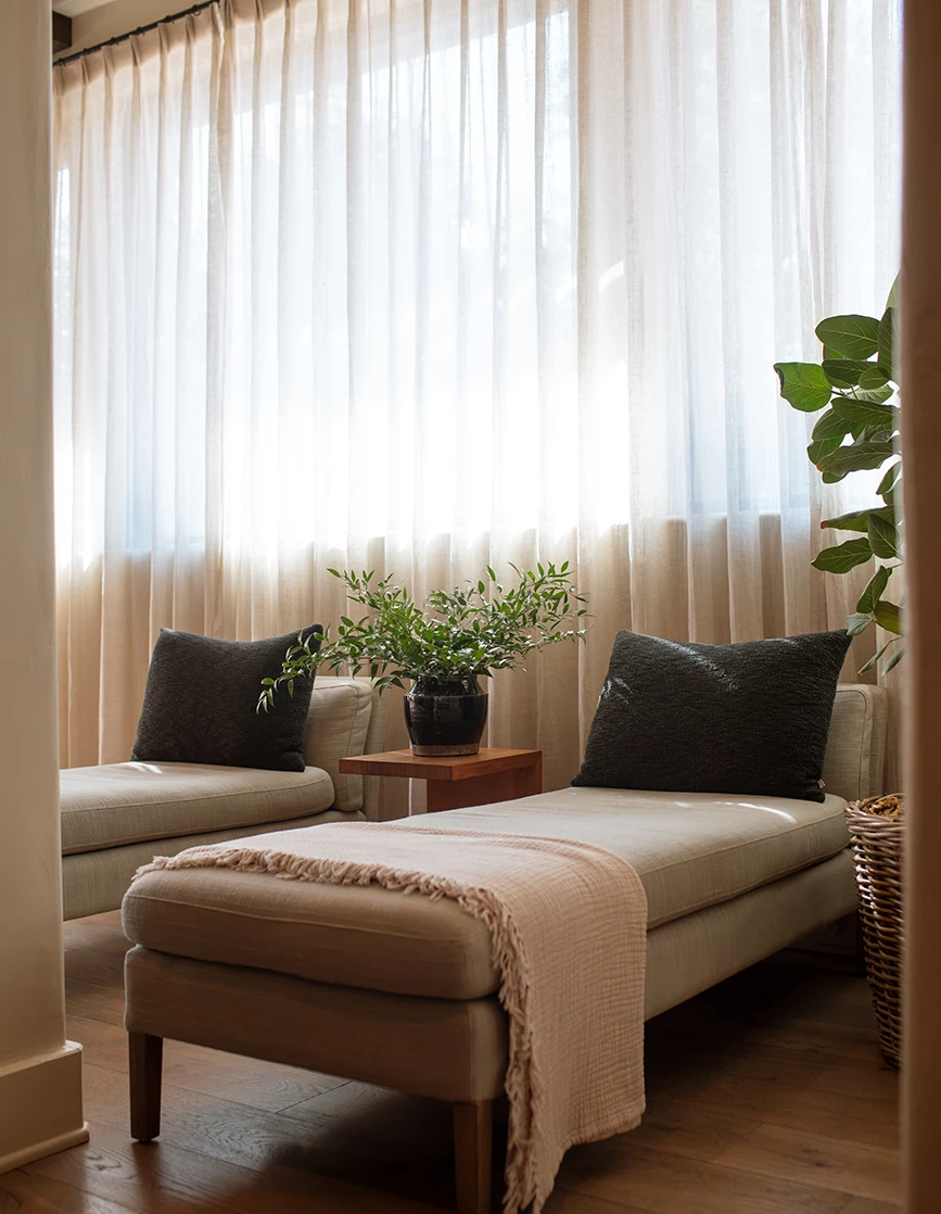 a couches and a plant in a room