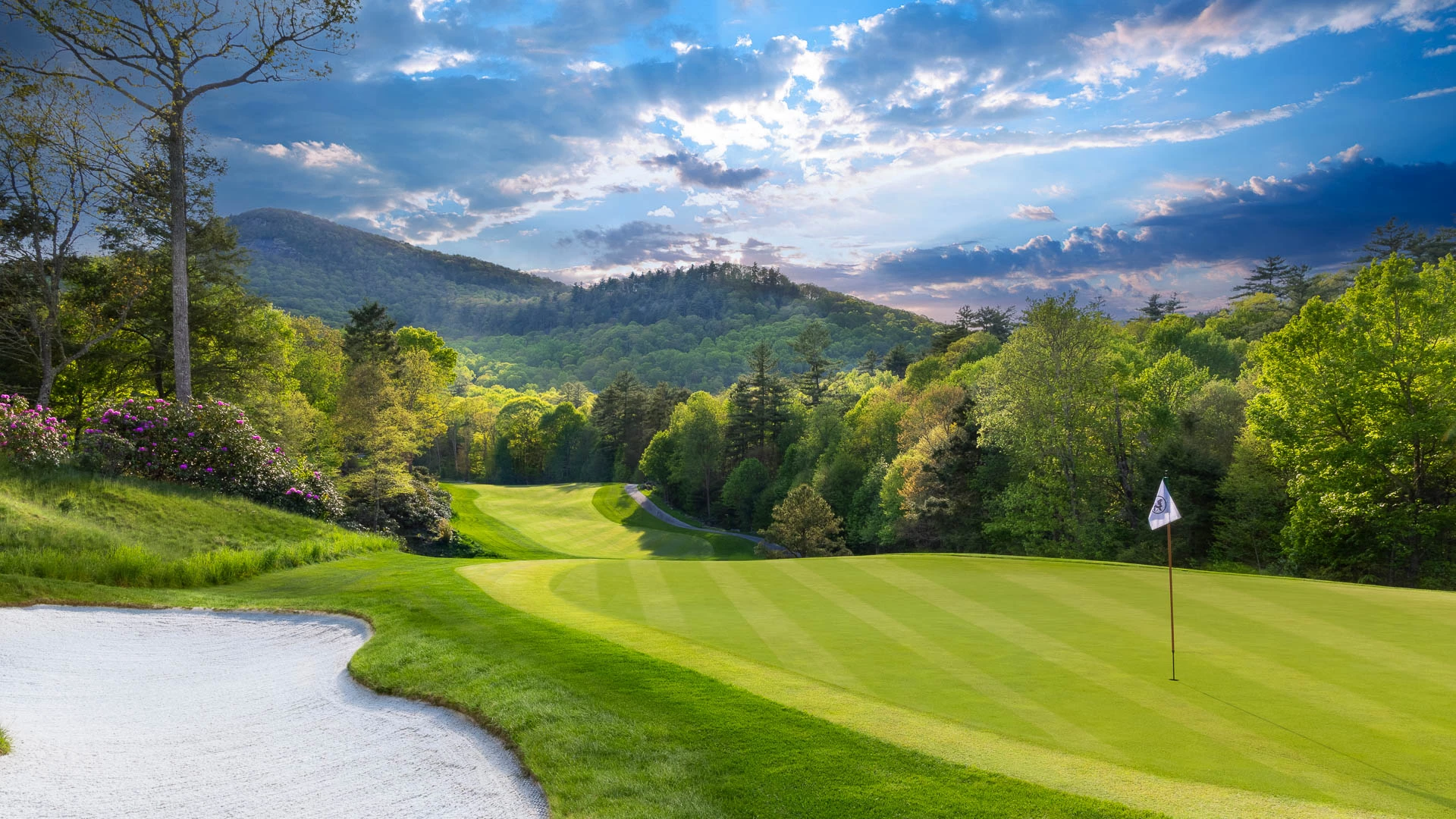 a golf course with a path and trees