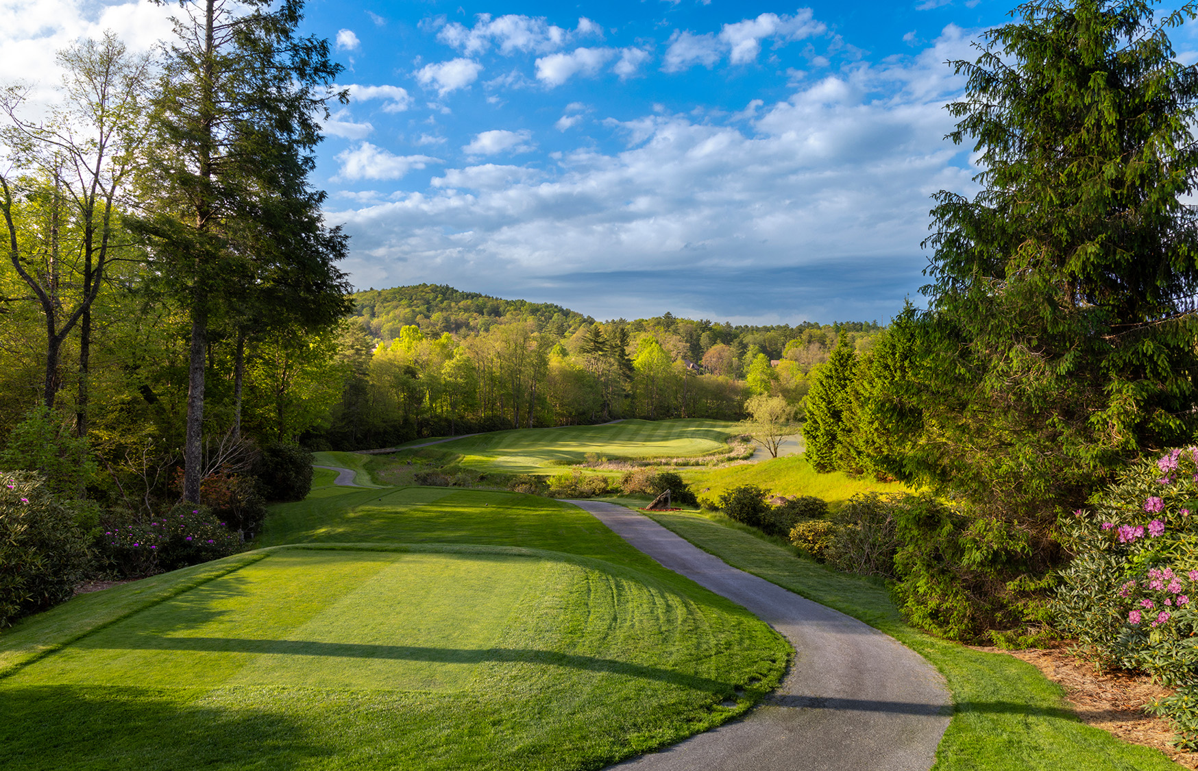 a path through a golf course