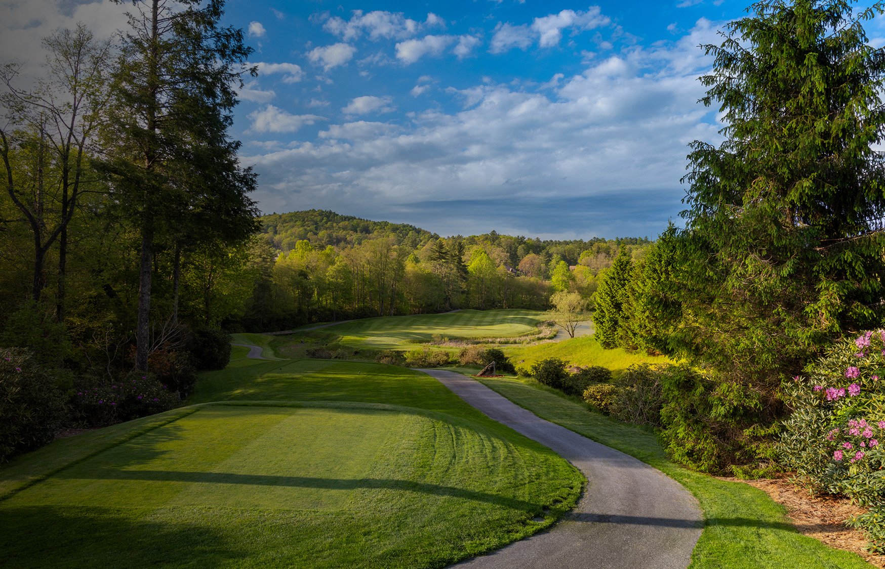 a path through a golf course