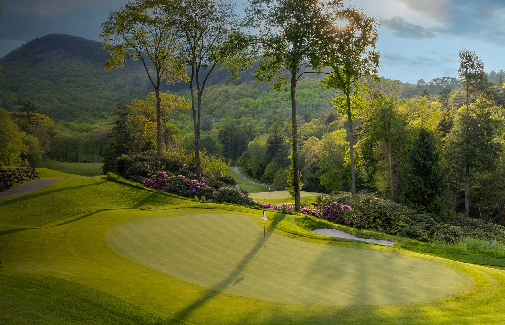 a golf course with trees and a flag on the ground