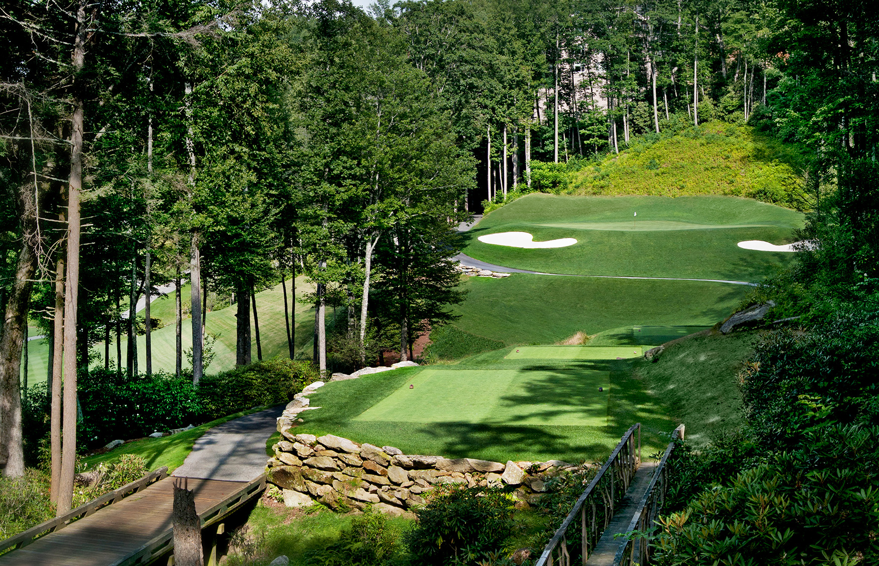 a golf course with a path and trees