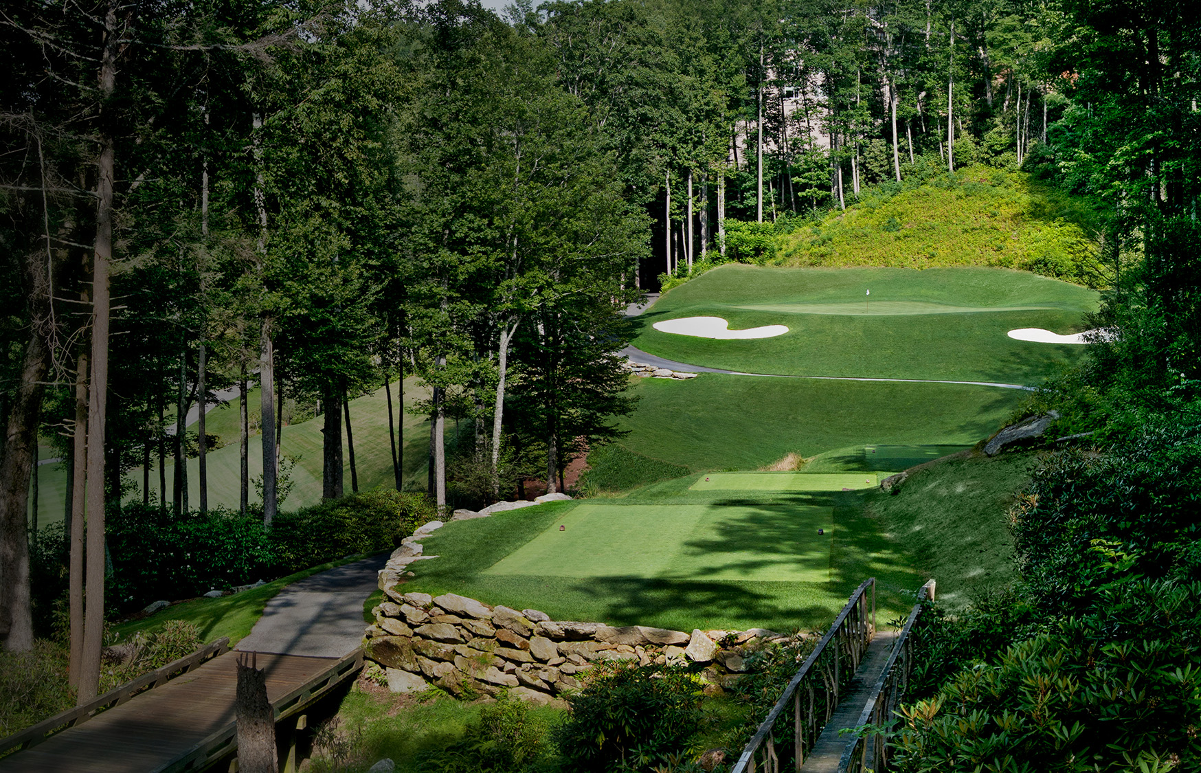a golf course with a path and trees