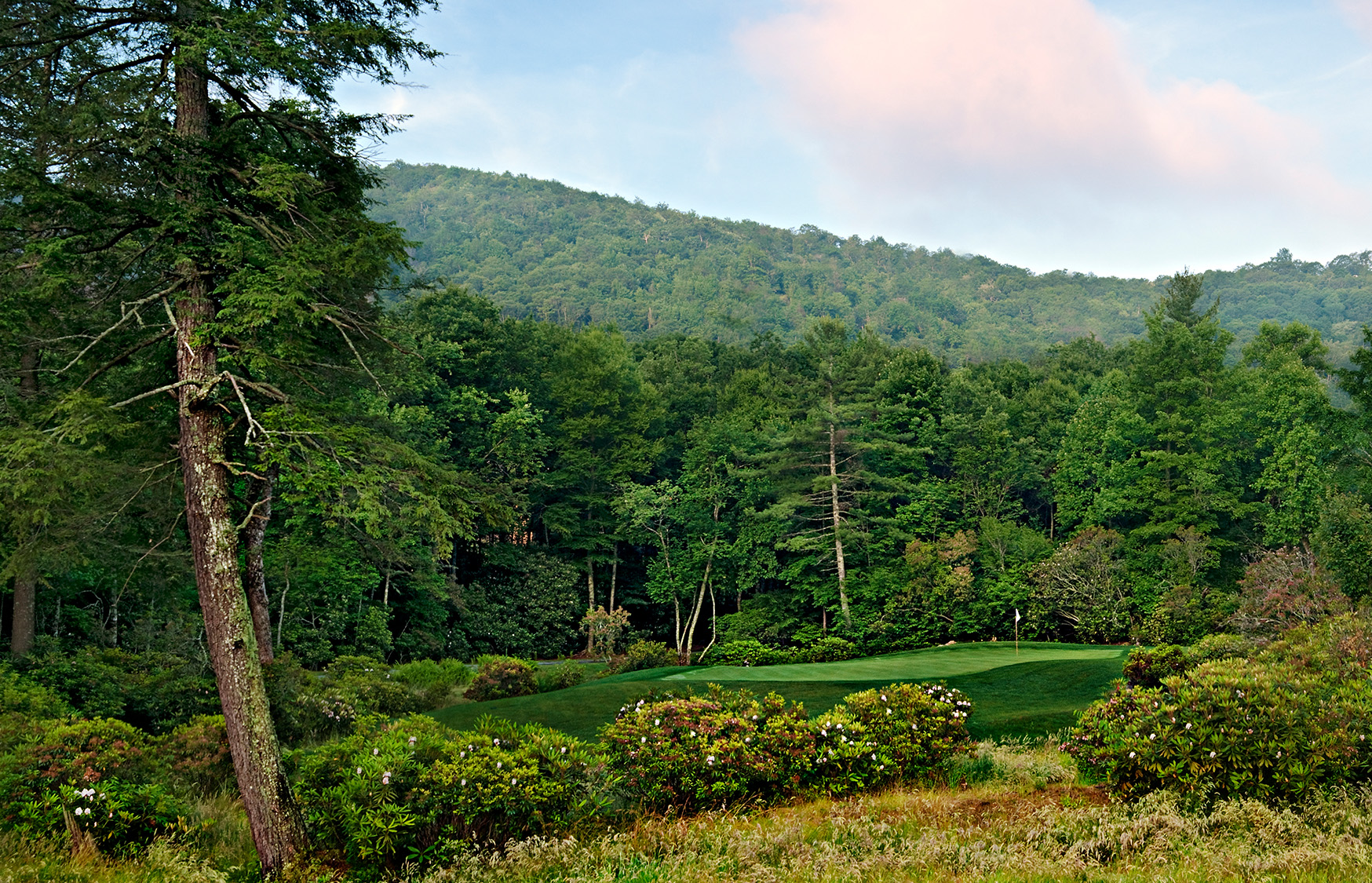 a golf course with trees and mountains in the background