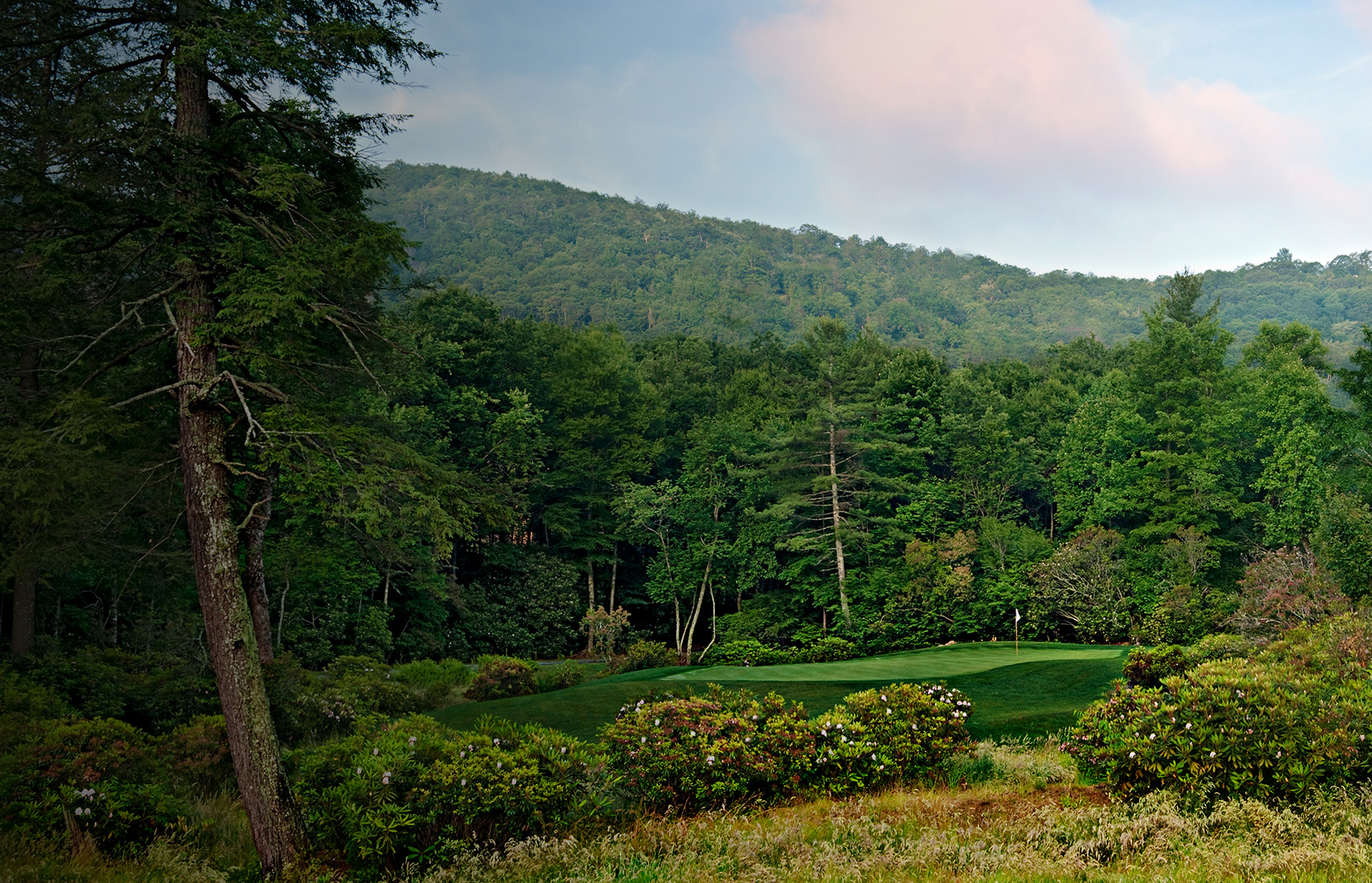 a golf course with trees and bushes