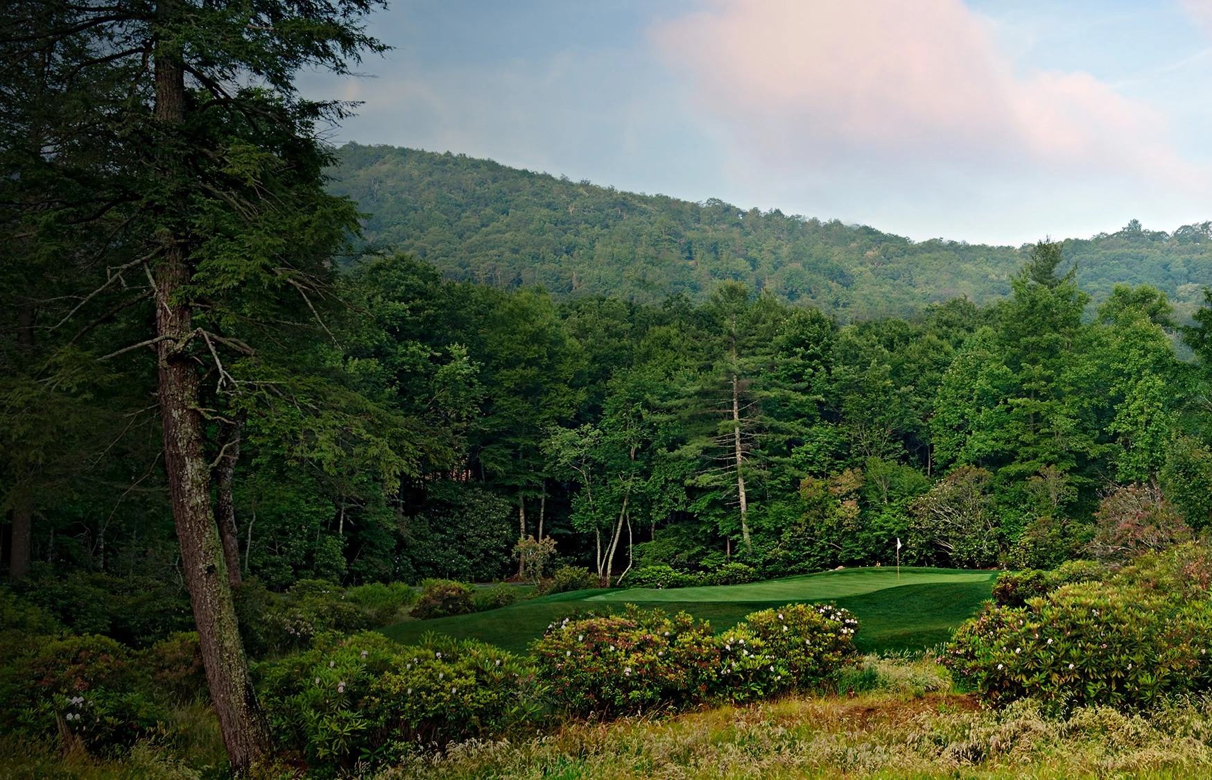 a golf course with trees and bushes