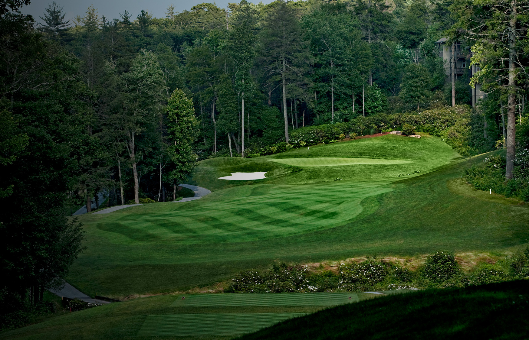a golf course with trees in the background