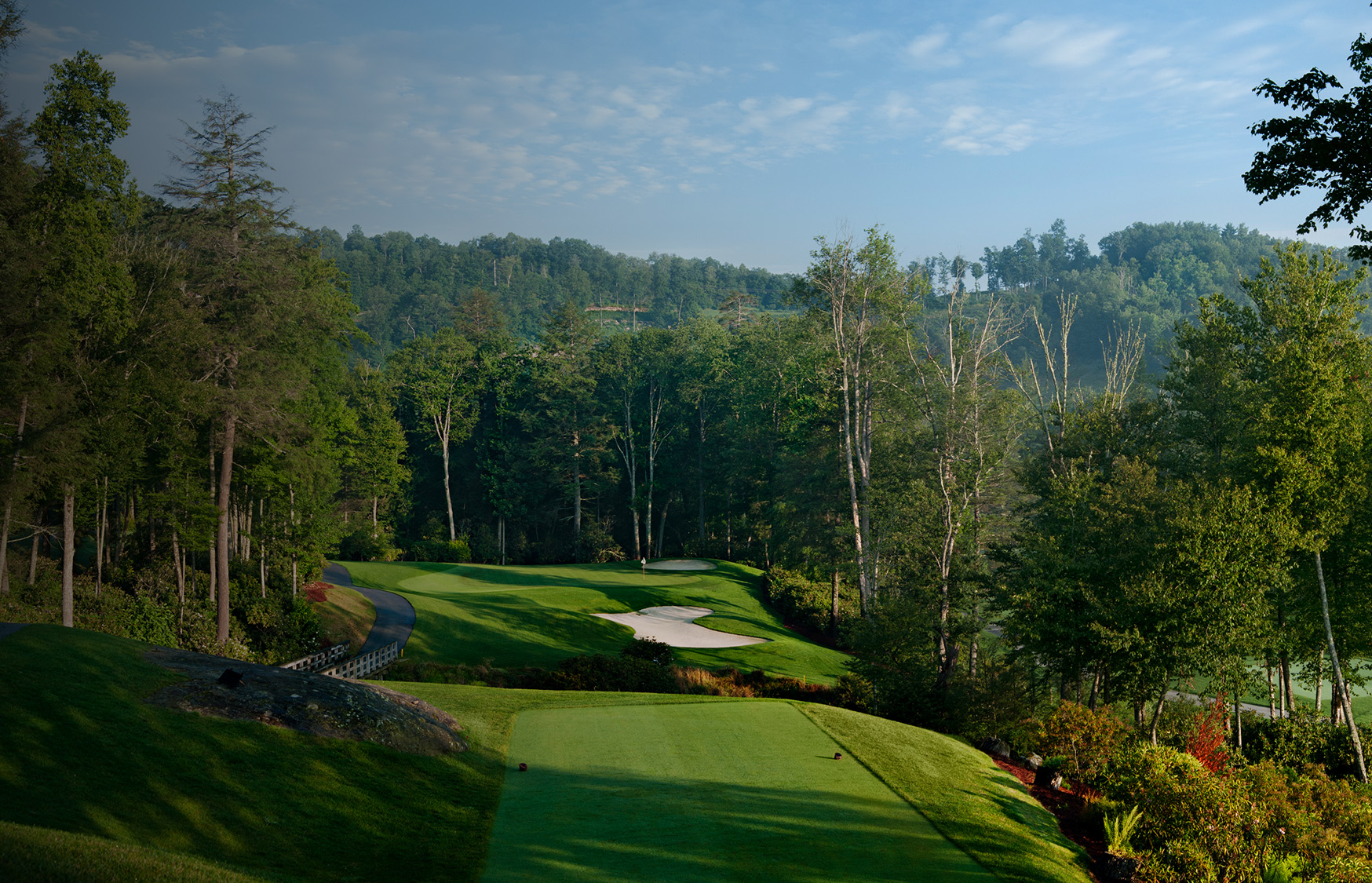 a golf course with trees in the background