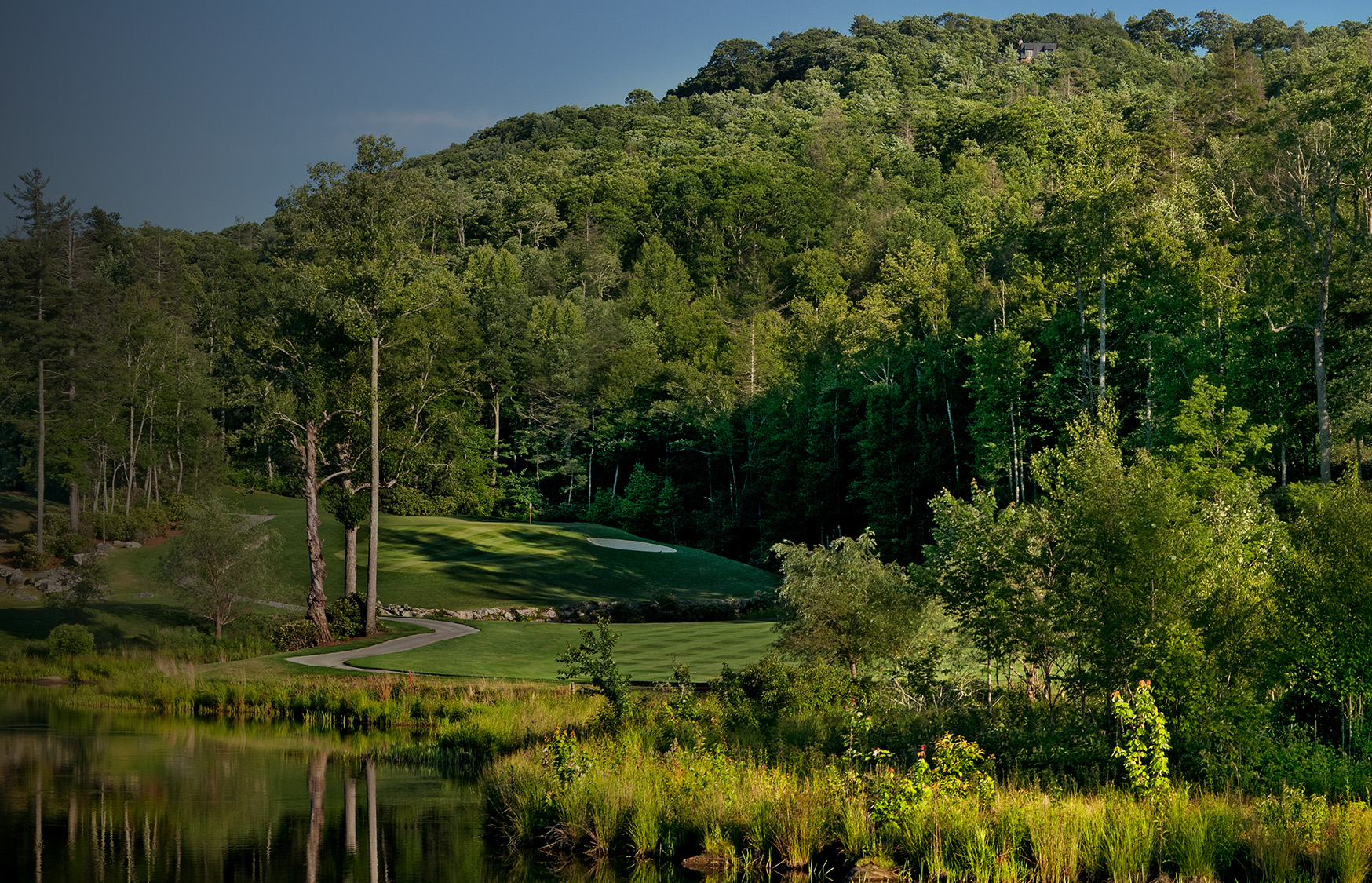a pond with grass and trees in the background