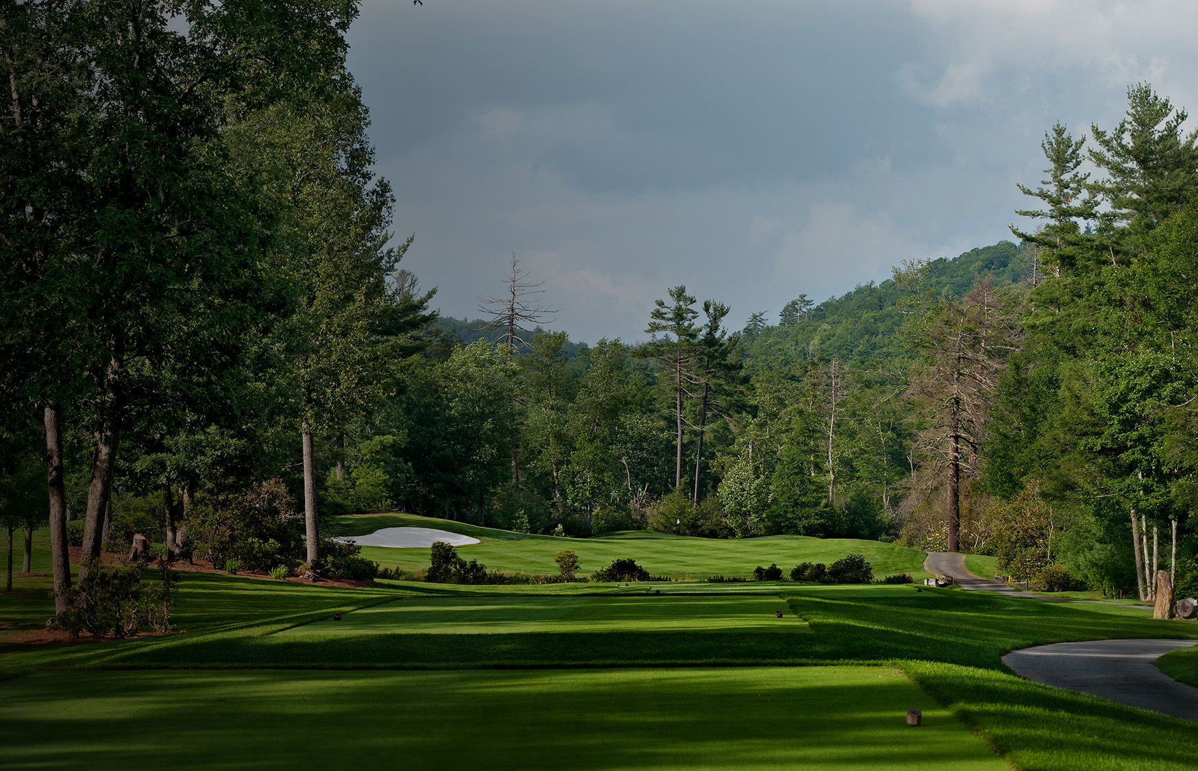 a golf course with trees and a cloudy sky