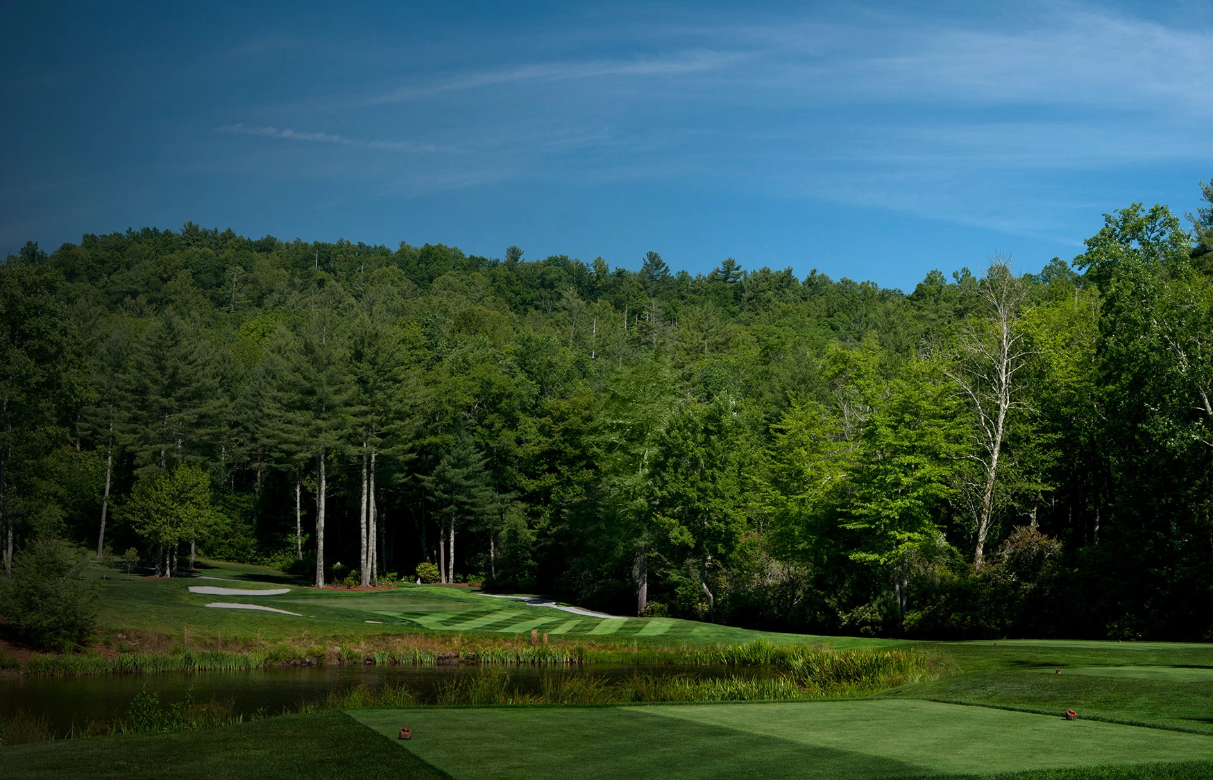 a golf course with trees in the background