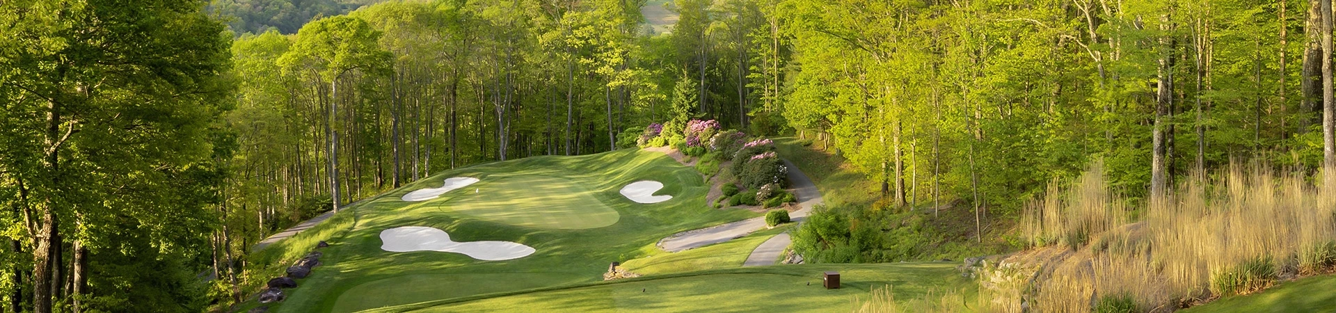 a golf course with trees and a path
