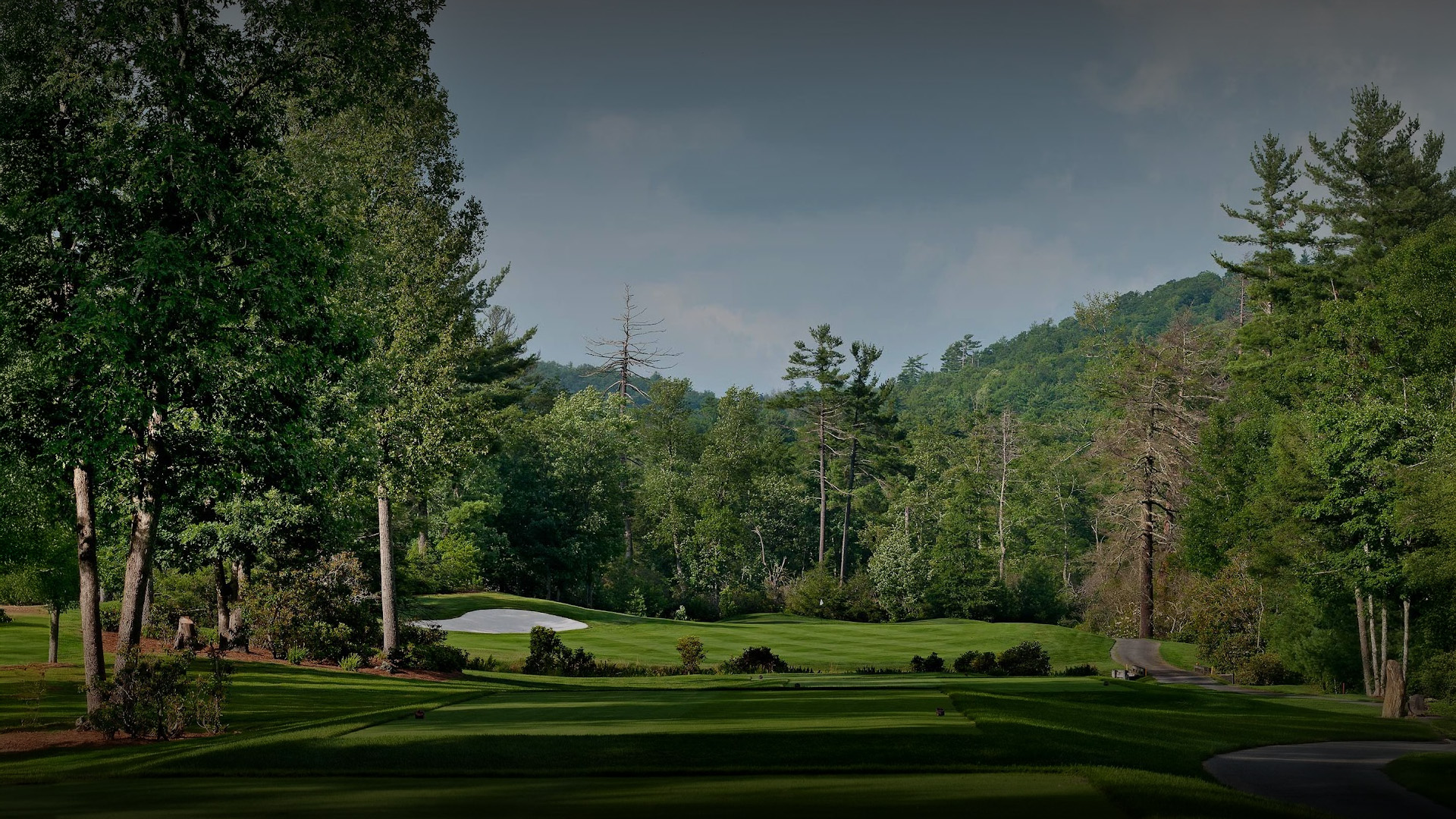 a golf course with trees and a cloudy sky