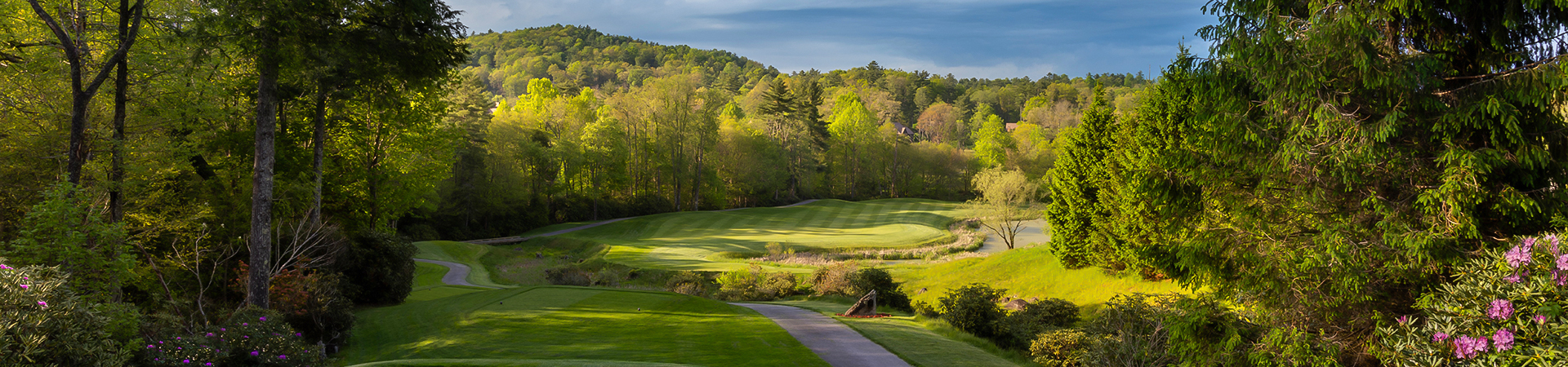 a golf course with trees in the background
