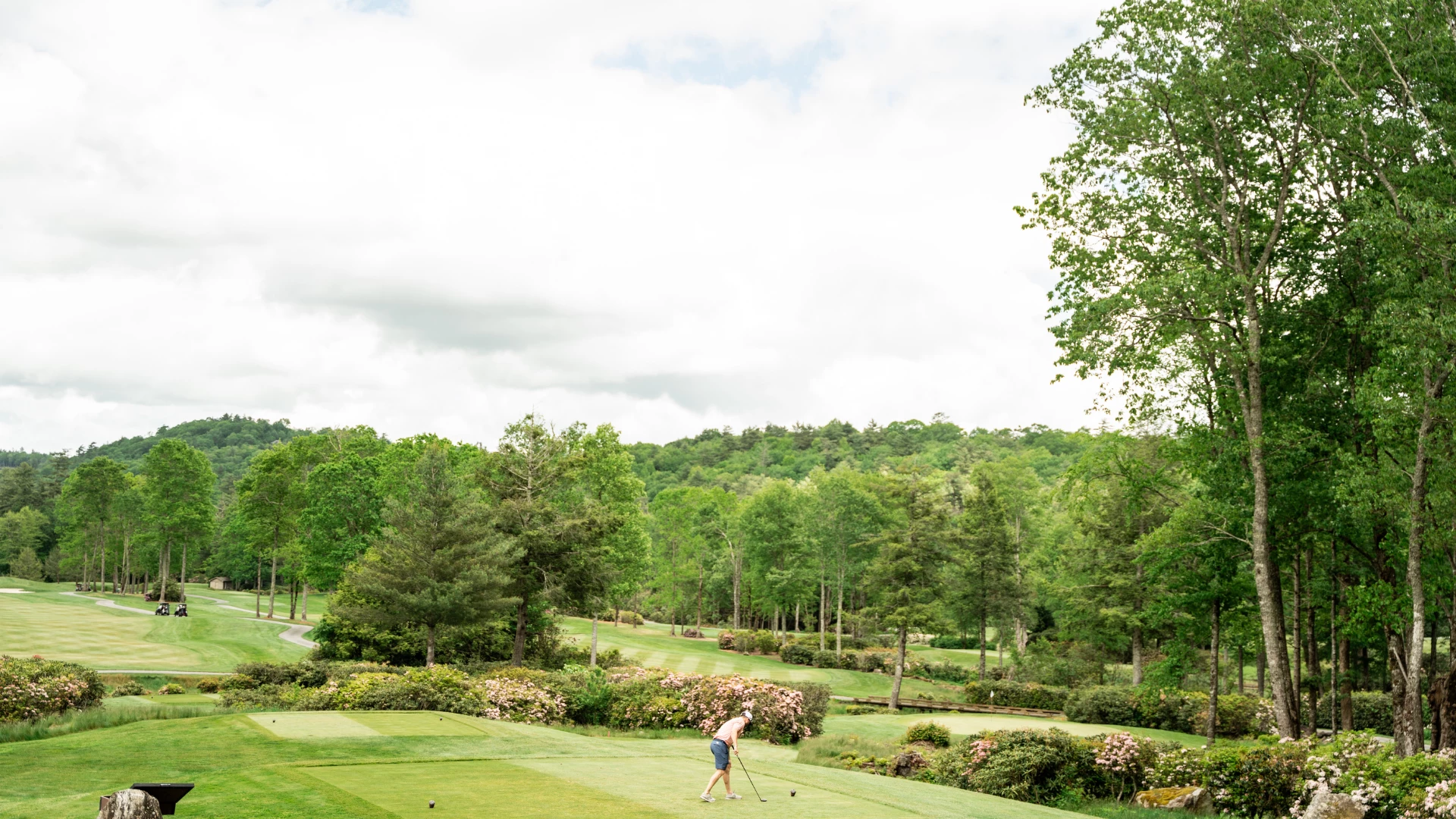 a person playing golf on a golf course