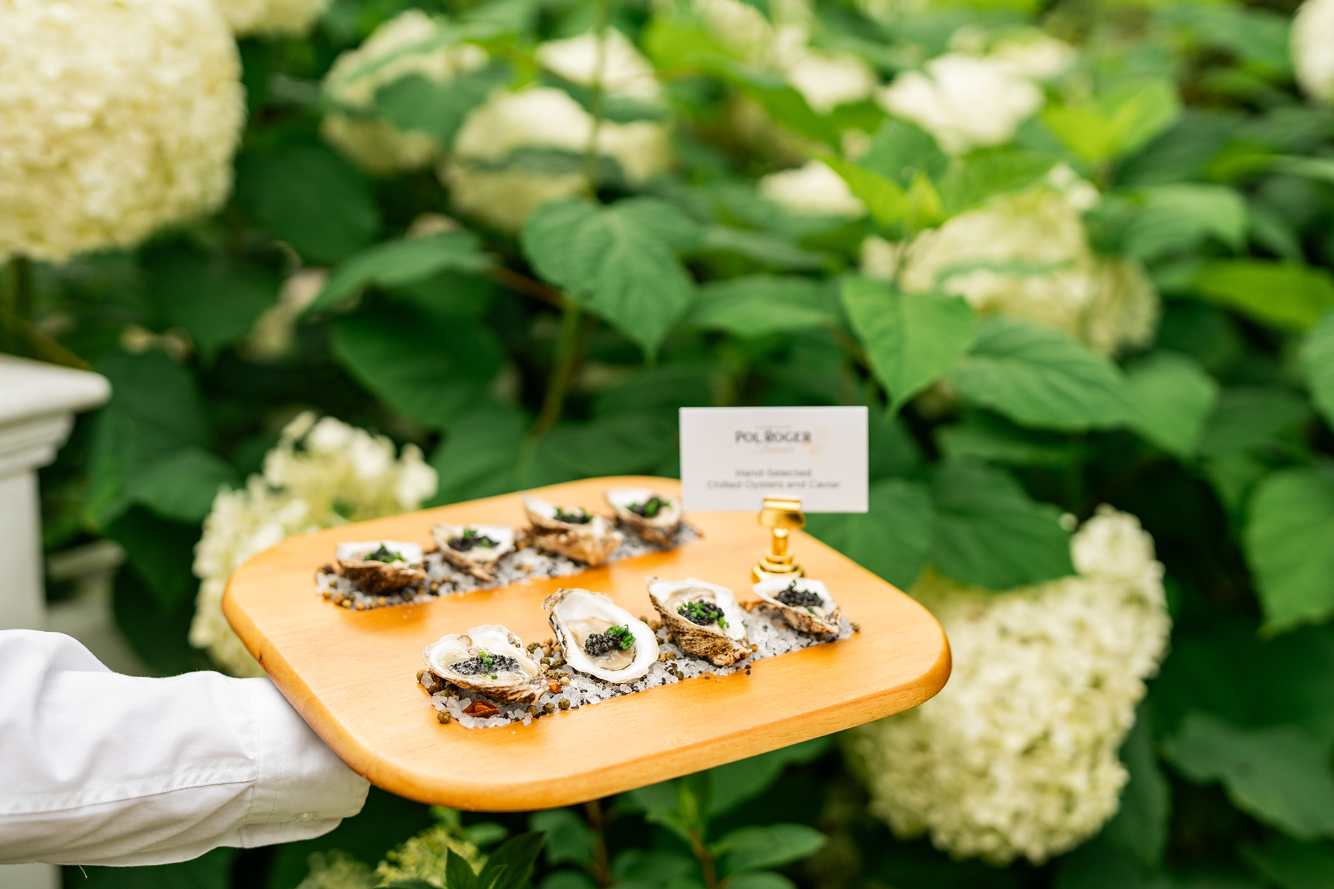 a hand holding a tray of oysters