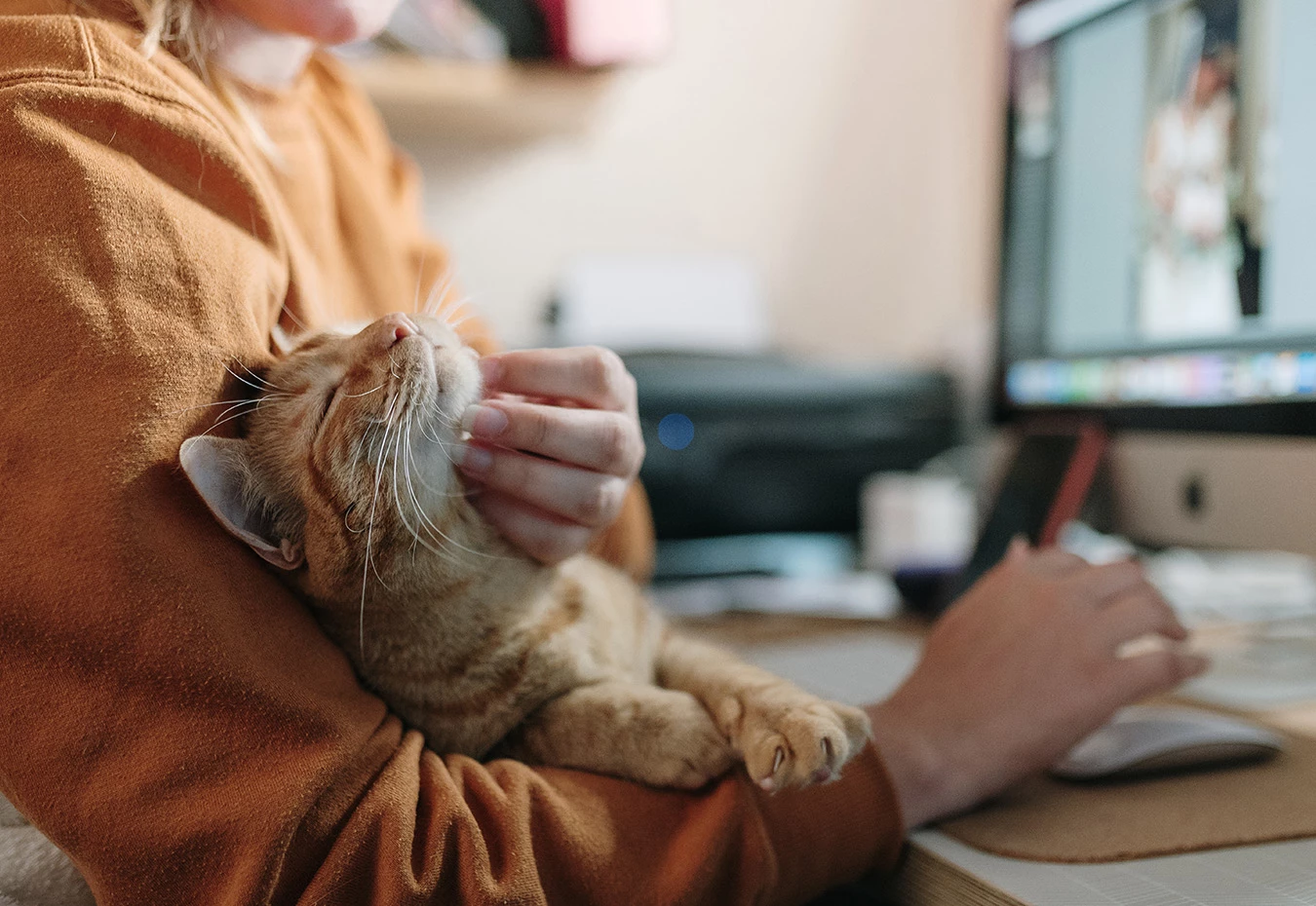 a person holding a cat