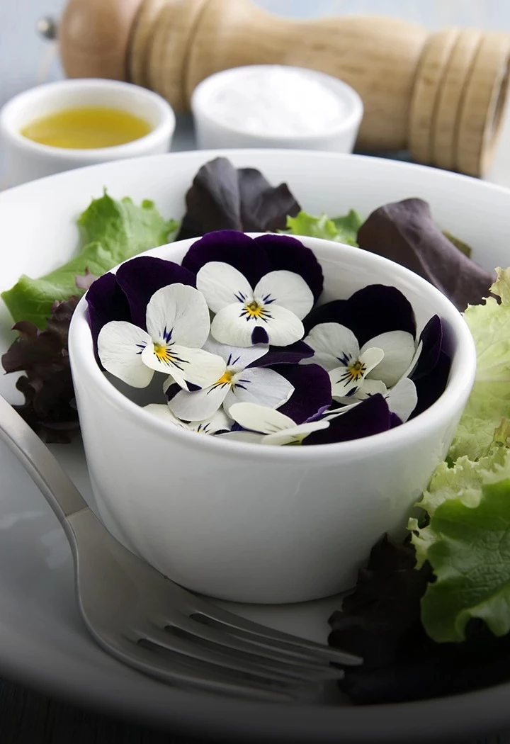 a bowl of purple and white flowers