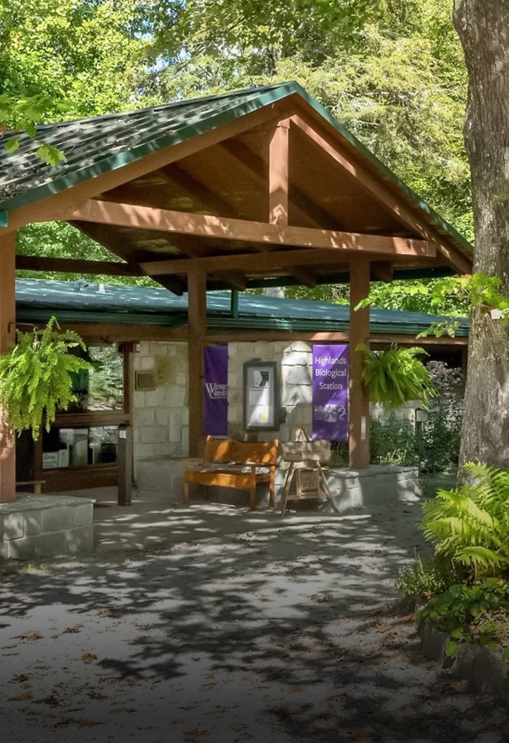 a wooden structure with a bench under it